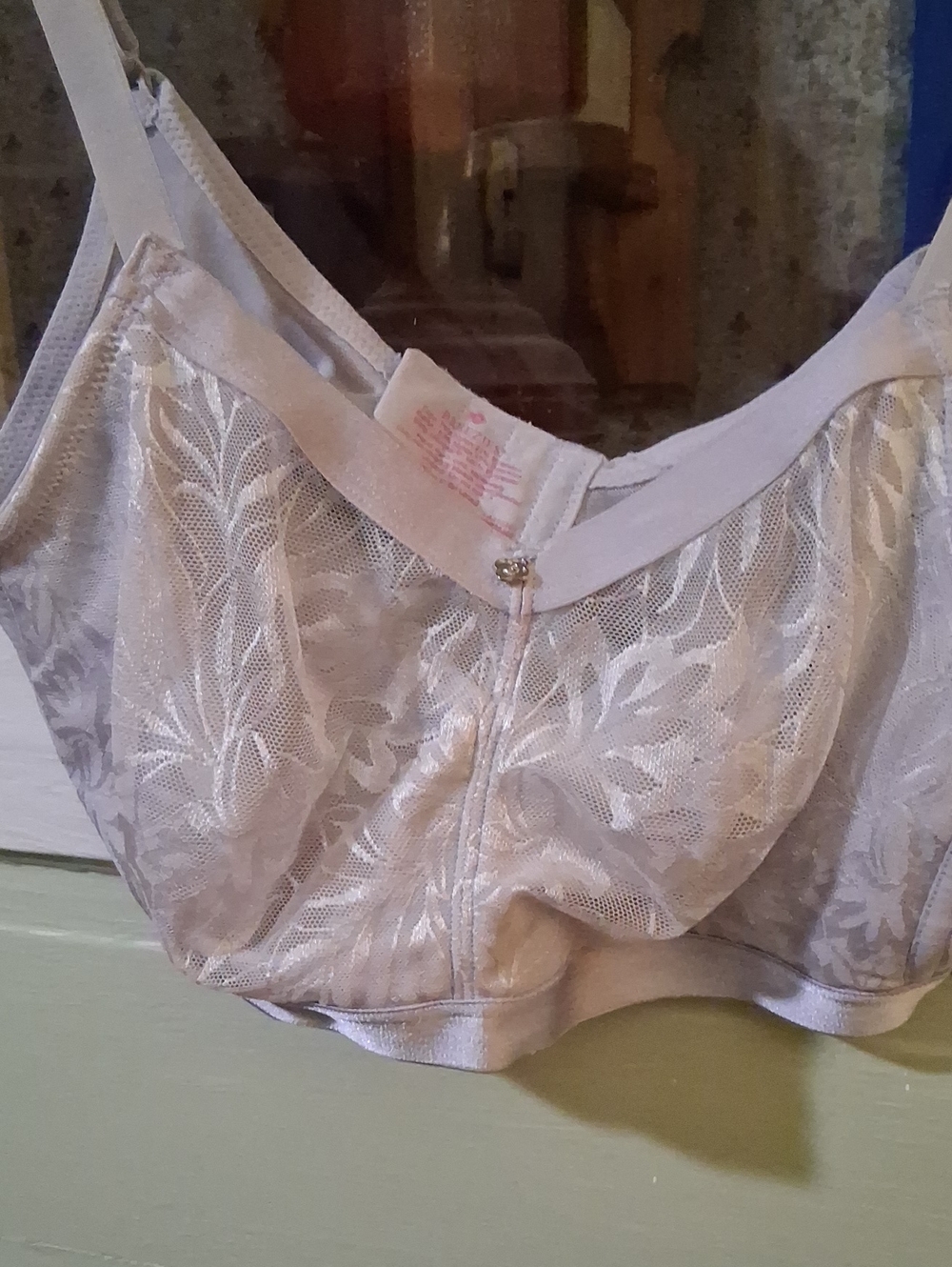 Breezies Lace Support Bra in Light Beige